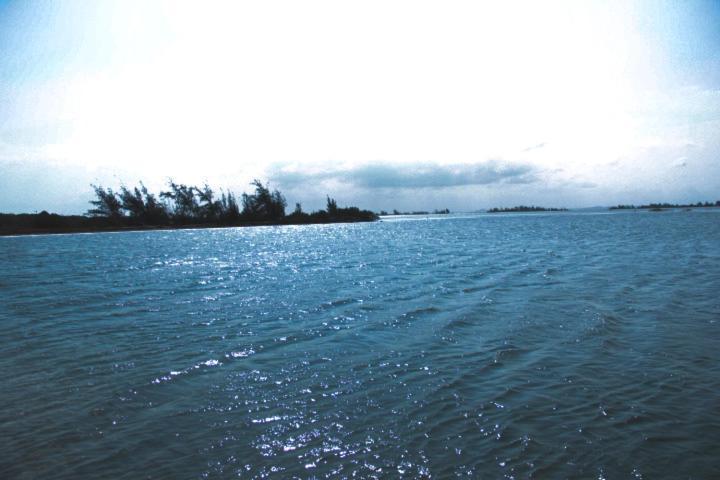 Apartamento Com Vista A Lagoa - Golden